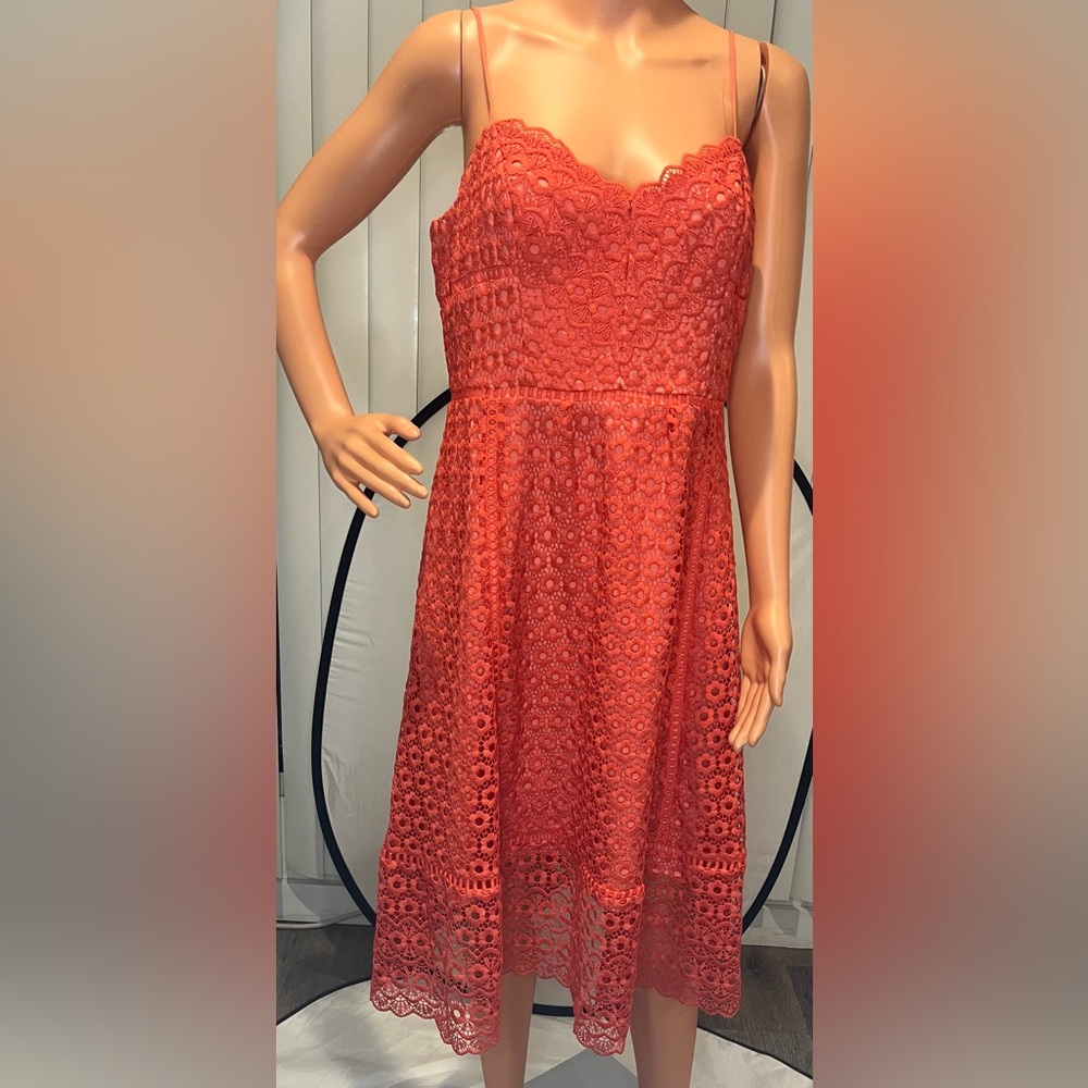 J. Crew Strapless Scarlet Lace Dress
